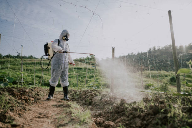 Best Best Pest Control Companies  in Mannington, WV