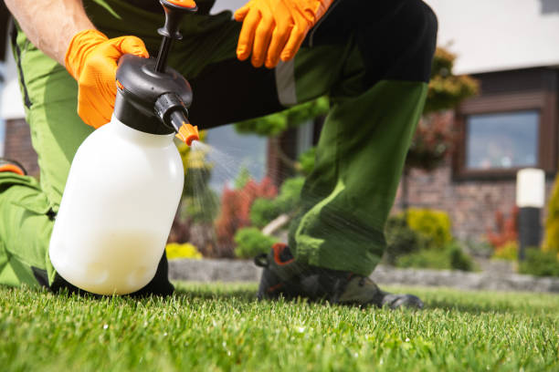 Best Affordable Pest Control Services  in Mannington, WV