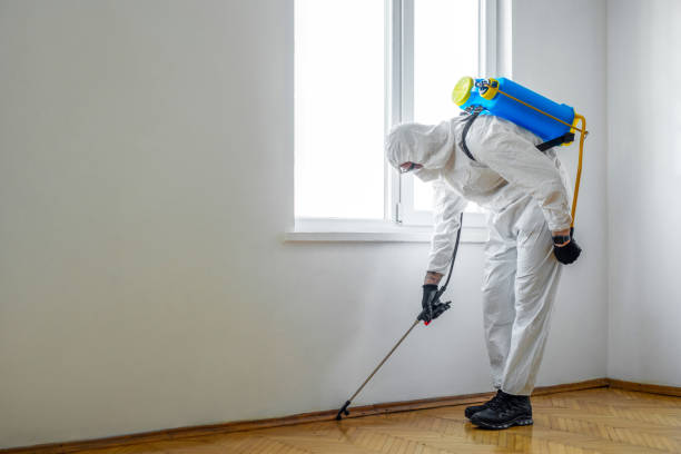 Best Bed Bug Extermination  in Mannington, WV