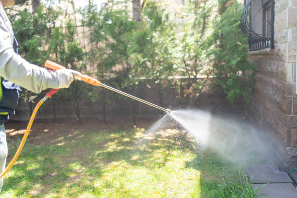 Best Cockroach Control Services  in Mannington, WV